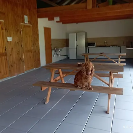 Kemping Stellplatz *